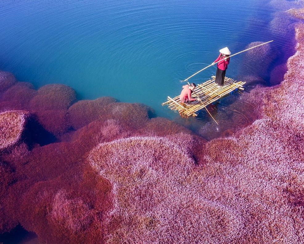 Compartilhe suas capturas com outros pescadores em tempo real